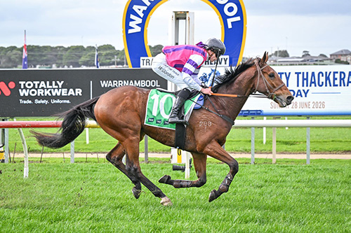 ZINOVATION WINS AT HURDLE DEBUT..